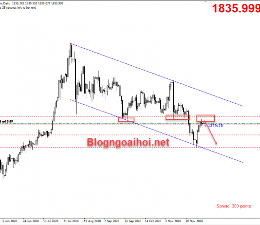 Vàng 7/12-Phe gấu nhập cuộc gây áp lực giảm