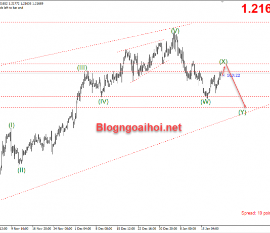 EURUSD 22/1-PMI của khu vực đồng tiền chung châu âu EURUSD 22/1-Hoàn thành sóng X
