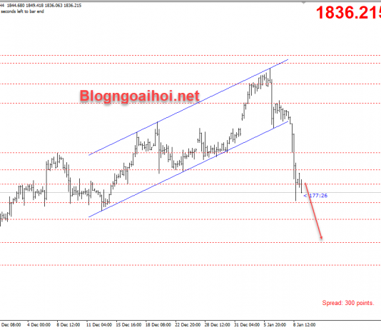 Vàng 11/1-Vàng bị bán tháo mạnh Vàng 11/1- Vàng bị bán tháo mạnh