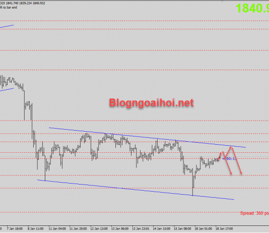 Vàng 19/1-Nhiều yếu tố hỗ trợ tăng Vàng 19/1 đi trong kênh giá giảm