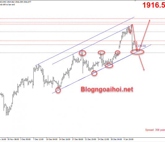 Vàng 7/1-Vàng hỗ trợ tăng lại sau khi giảm sâu Vàng 7/1-vàng hỗ trợ tăng mới