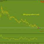 usdcad-25-2-nem-giam_optimized