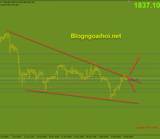 Vàng 10/2-Chờ báo cáo CPI Hoa Kỳ Vàng 10/2-Báo cáo CPI