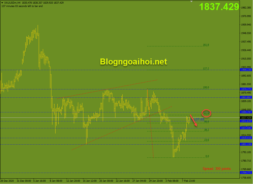 Vàng 9/2 Suy giảm ở Fib 61.8%