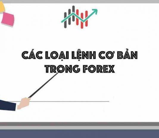 6 lệnh giao dịch trên MT4 nhà đầu tư cần nắm rõ Các loại lệnh cơ bản trong forex