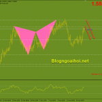euraud-21-4_optimized