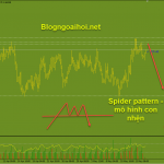 euraud-17-5-mo-hinh-con-nhen_optimized