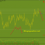 euraud-18-5-mo-hinh-con-nhen_optimized