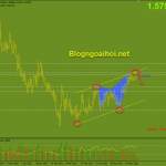 euraud-1-6-kenh-tang_optimized