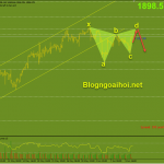Vàng 11/6-Vàng như nào sau dữ liệu lạm phát tăng? Vàng 11/6-Harmonic giảm