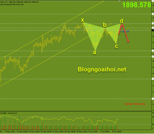 Vàng 11/6-Vàng như nào sau dữ liệu lạm phát tăng? Vàng 11/6-Harmonic giảm