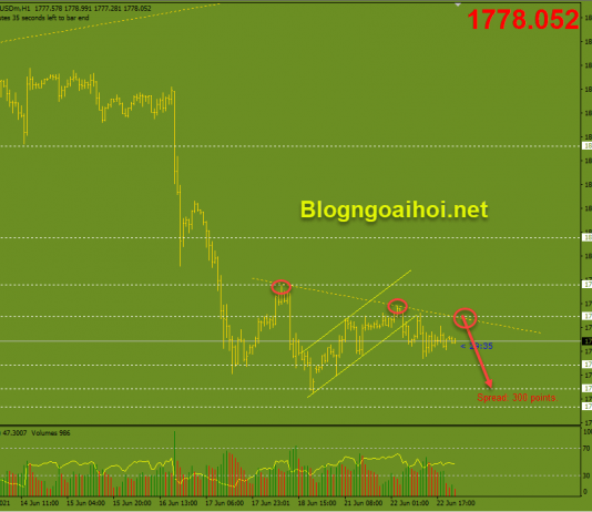 Vàng 23/6-Ngày hội dữ liệu PMI sản xuất và dịch vụ Vàng 23/6 trendine giảm