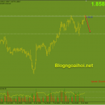 gbpaud-12-7-kiem-tra-dinh-cu_optimized