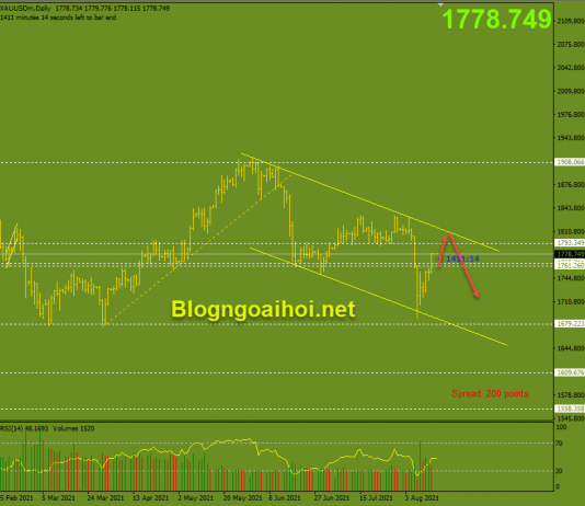 Vàng 16/8-Vàng được hỗ trợ tăng Vàng 16/8-Kênh giá giảm