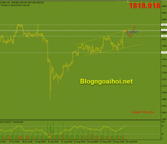 Vàng 30/8-Vàng điều chỉnh giảm nhẹ Vàng 30/8-Diều chỉnh giảm