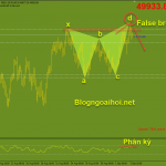 bitcoin-4-9-harmonic-giam_optimized (1)