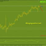 bitcoin-phien-au-16-9_optimized