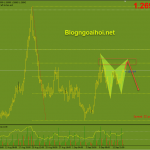 usdcad-15-9-harmonic-giam_optimized