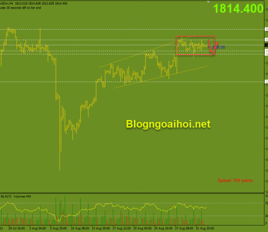 Vàng 2/9- Bình yên trước bão Nonfarm Vàng 2/9- Di chuyển trong range