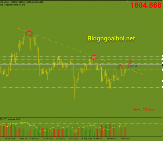 Vàng 22/10-Sóng gió phiên giao dịch cuối tuần Vàng phiên mỹ 22/10