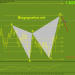 eurnzd-phien-my-23-11_optimized