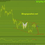bitcoin-1-12-phan-ky-giam_optimized