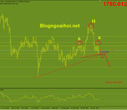 Vàng 2/12-Vàng nghiêng về hướng giảm Vàng 2/12-Mô hình vai đầu vai