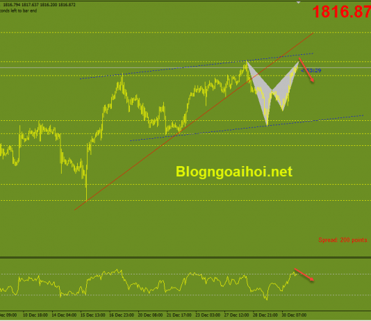 Vàng 31/12-Phiên giao dịch cuối cùng của năm 2021 Vàng 31/12-Harmonic giảm