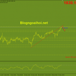 vang-3-1-khang-cu-quan-trong_optimized