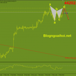 bitcoin-9-2-harmonic-giam_optimized