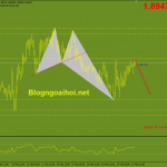 gbpaud-18-2-khang-cu-quan-trong_optimized