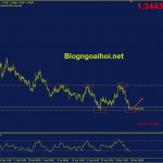 eurcad-16-5-ho-tro-cu_optimized