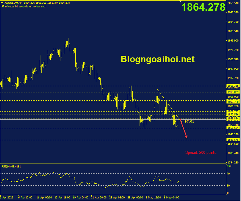 vang-10-5-trendline-giam