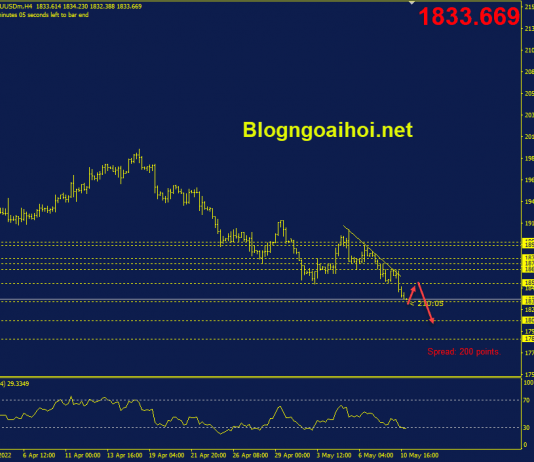 Phân tích Vàng 11/5- Tập trung vào dữ liệu CPI và Core CPI vang-11-5-tang-hoi-va-giam-tiep