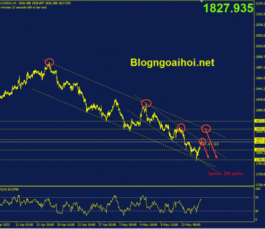 Phân tích Vàng 17/5-Tập trung vào dữ liệu bán lẻ Hoa Kỳ vang-17-5-kenh-gia-giam