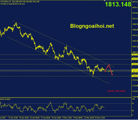 Phân tích Vàng 19/5- Vàng di chuyển hẹp vang-19-5-di-chuyen-trong-kenh-gia-giam