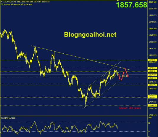 Phân tích Vàng 25/5- Biên bản cuộc họp FOMC vang-25-5-phien-au