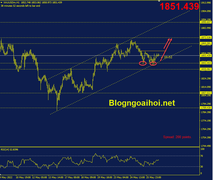vang-27-5-mo-hinh-2-day
