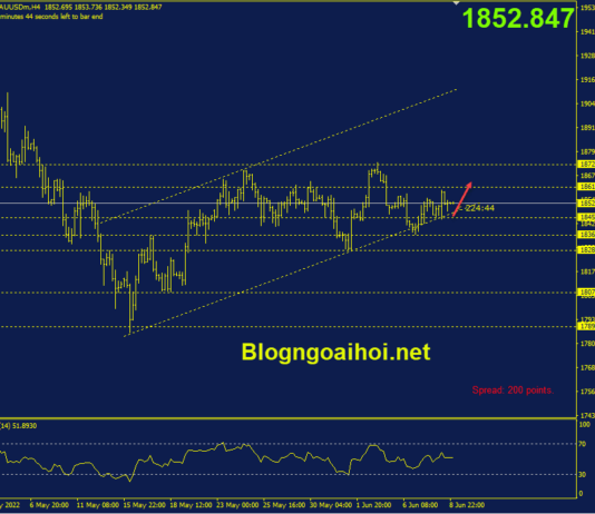Phân tích Vàng 9/6- Tâm lý thận trọng trước dữ liệu CPI vang-9-6-trendline-ho-tro-tang