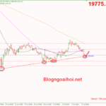 bitcoin-12-7-ho-tro-trendline-tang_optimized