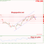 Phân tích Vàng 11/8-Chuyển hướng sang dữ liệu PPI Hoa Kỳ vang-11-8-mo-hinh-nem-tang