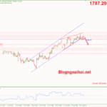 Phân tích Vàng 12/8- Vàng suy giảm khi lạm phát dịu lại vang-12-8-pha-vo-kenh-gia-tang-va-mo-hinh-nem