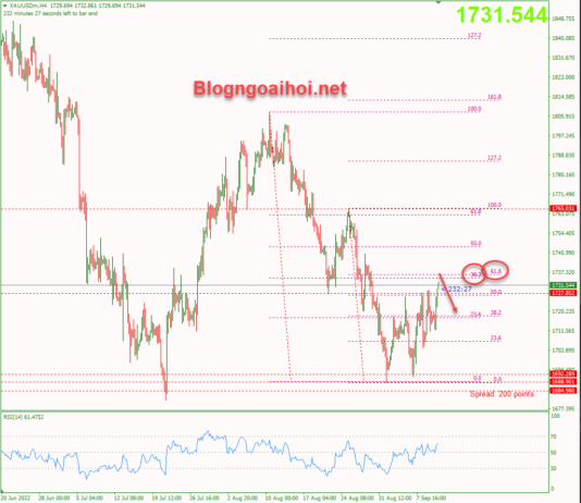 Phân tích Vàng 12/9-Thận trọng trước dữ liệu CPI vang-12-9-phien-my-khang-cu-fib