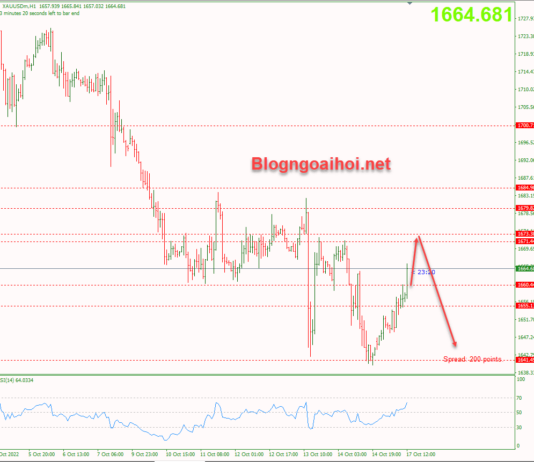 Phân tích Vàng 17/10-Kỳ vọng FED tăng mạnh lãi suất vang-17-10-ho-tro-tang-roi-giam