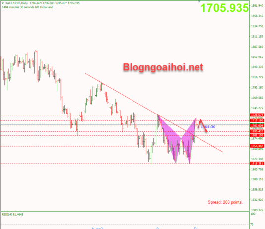 Phân tích Vàng 10/11- Chờ đợi báo cáo CPI Hoa Kỳ vang-10-11-mo-hinh-harmonic-giam