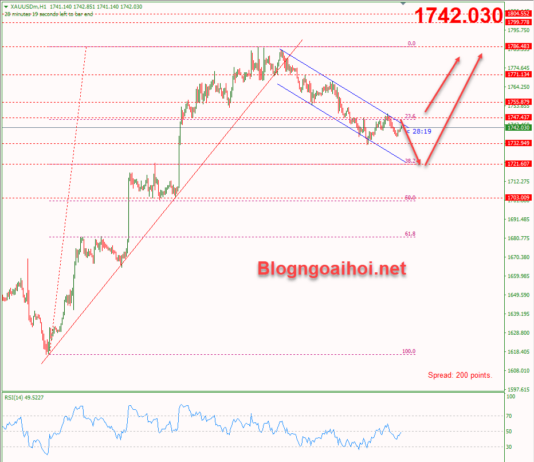 Phân tích Vàng 23/11-Dữ liệu PMI và biên bản cuộc họp FOMC Vàng 23/11- Di chuyển trong kênh giá giảm