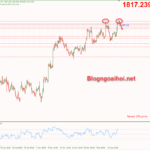 Phân tích Vàng 21/12-Dữ liệu niềm tin tiêu dùng Vàng 21/12- Kháng cự 2 đỉnh