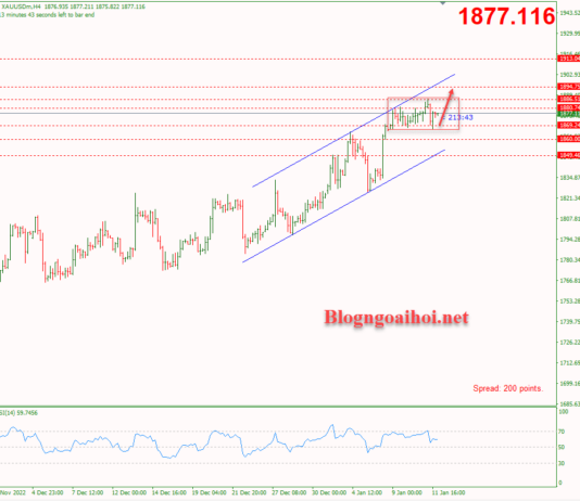 Phân tích Vàng 12/1-Tập trung vào dữ liệu lạm phát Vàng 12/1-Kênh giá tăng