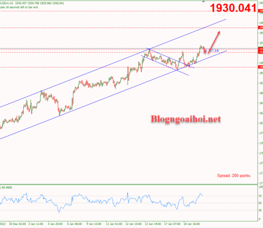 Phân tích Vàng 20/1-Vàng tăng bất chấp FED diều hâu Vàng 20/1-Di chuyển trong kênh giá tăng