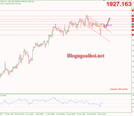 Phân tích Vàng 1/2-Nhiều dữ liệu kinh tế Hoa Kỳ quan trọng Vàng 1/2-Phá vỡ kênh giá giảm